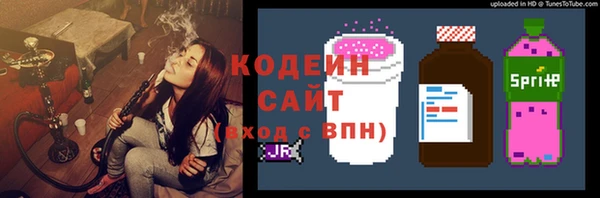 соль ск Зеленодольск