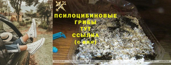 мяу мяу мука Заводоуковск
