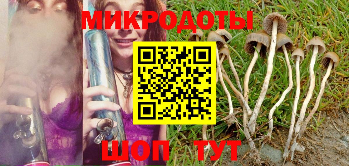 Псилоцибиновые грибы мухоморы  как найти закладки  Сургут  Вход с VPN  Галлюциногенные грибы Psilocybine cubensis 