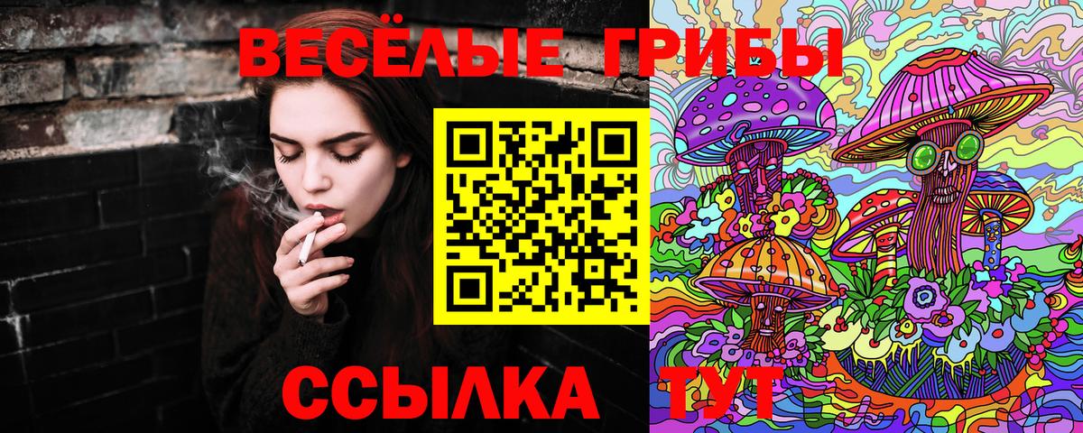 Псилоцибиновые грибы Magic Shrooms Сургут