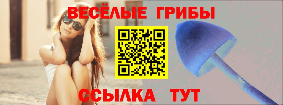 Галлюциногенные грибы MAGIC MUSHROOMS Сургут